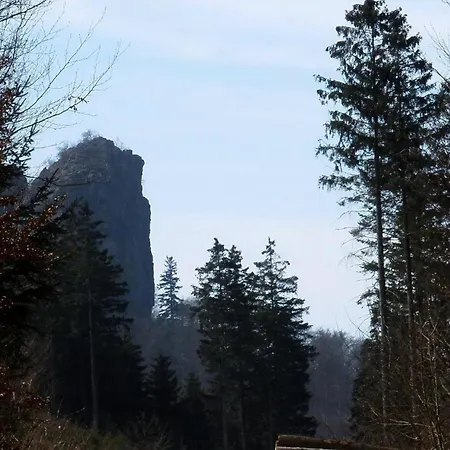 Gemuetliche Nichtraucherwohnung Direkt Am Wald *