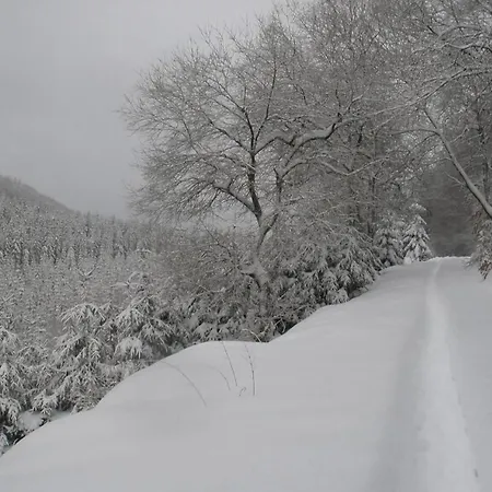 Gemuetliche Nichtraucherwohnung Direkt Am Wald アパート
